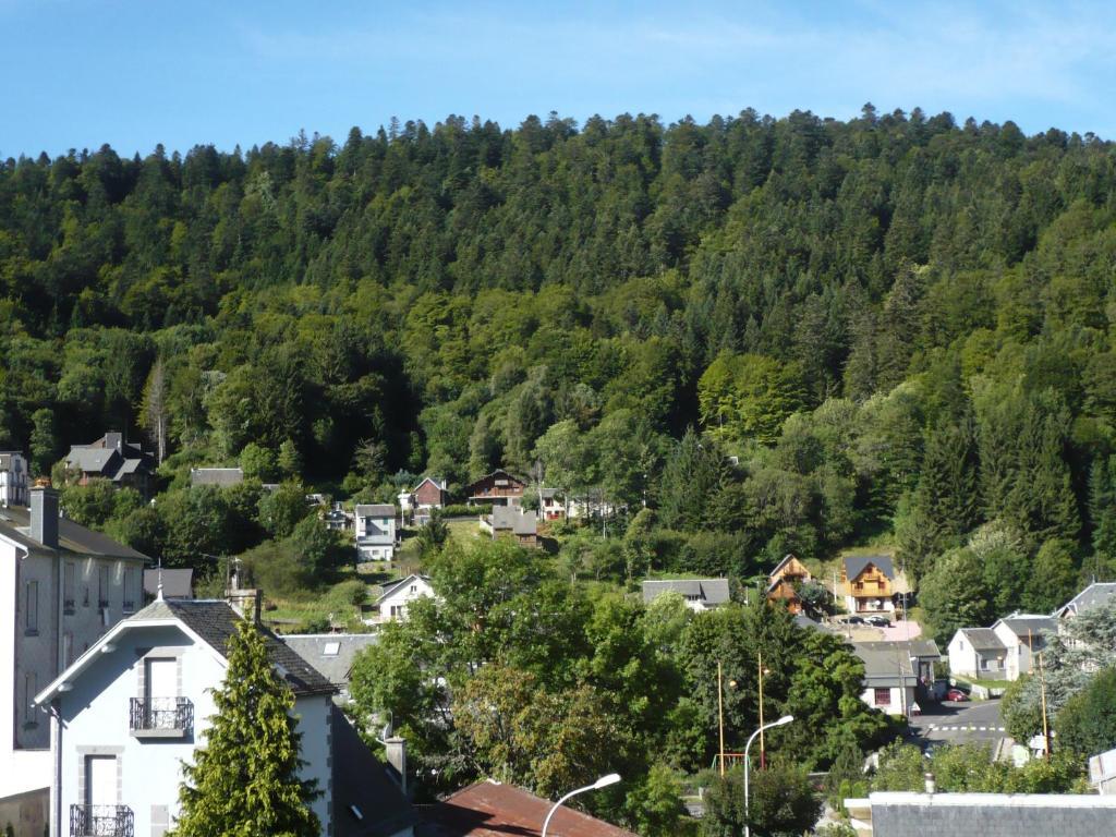Residence Wilson Le Mont-Dore Kamer foto